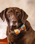 Dog Bow Tie with Pendleton Fabric and Inital Engraving