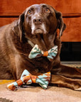 Dog Bow Tie with Pendleton Fabric and Inital Engraving