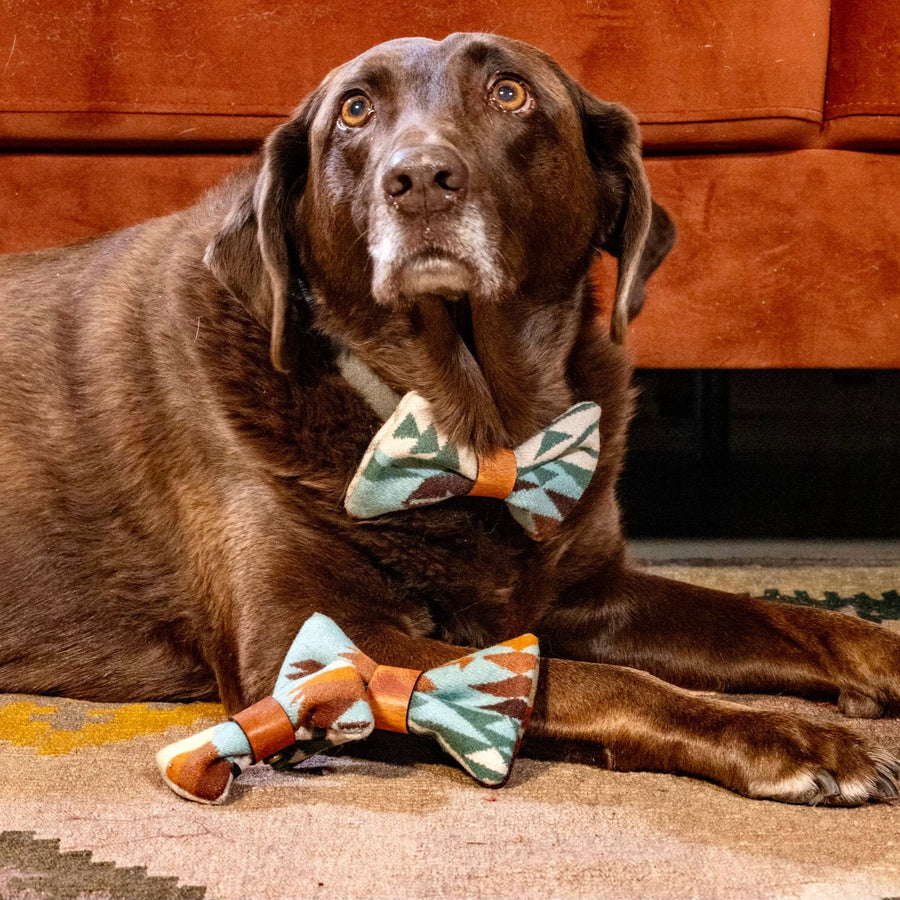 Dog Bow Tie with Pendleton Fabric and Inital Engraving