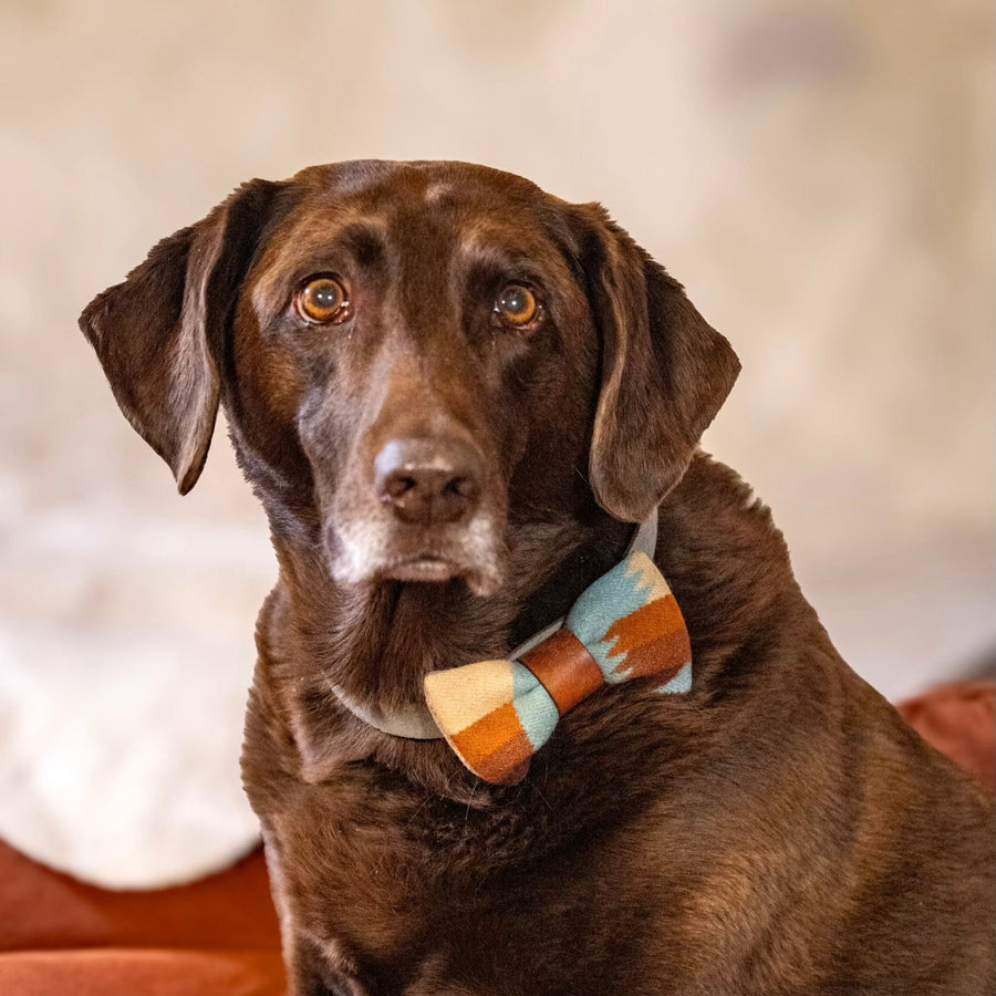 Dog Bow Tie with Pendleton Fabric and Inital Engraving