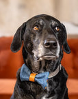 Dog Bow Tie with Pendleton Fabric and Inital Engraving