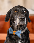 Dog Bow Tie with Pendleton Fabric and Inital Engraving