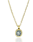 GOLD PAVIA COIN & FRAME NECKLACE